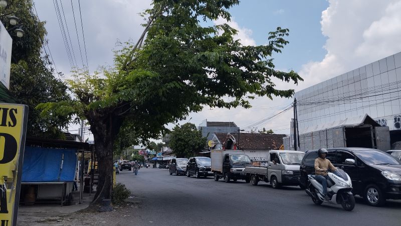 Pertumbuhan pohon yang miring ke bahu jalan di Padukuhan Dongkelan, Kalurahan Panggungharjo, Kapanewon Sewon Selasa (14/10)