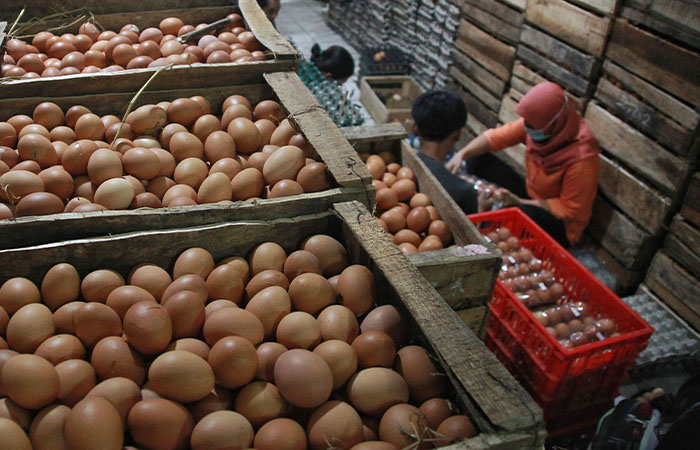 MEROKET: Pekerja mengemasi telur sebelum dijual ke distributor. Harga telur naik menjadi Rp 31 ribu per kilogram.