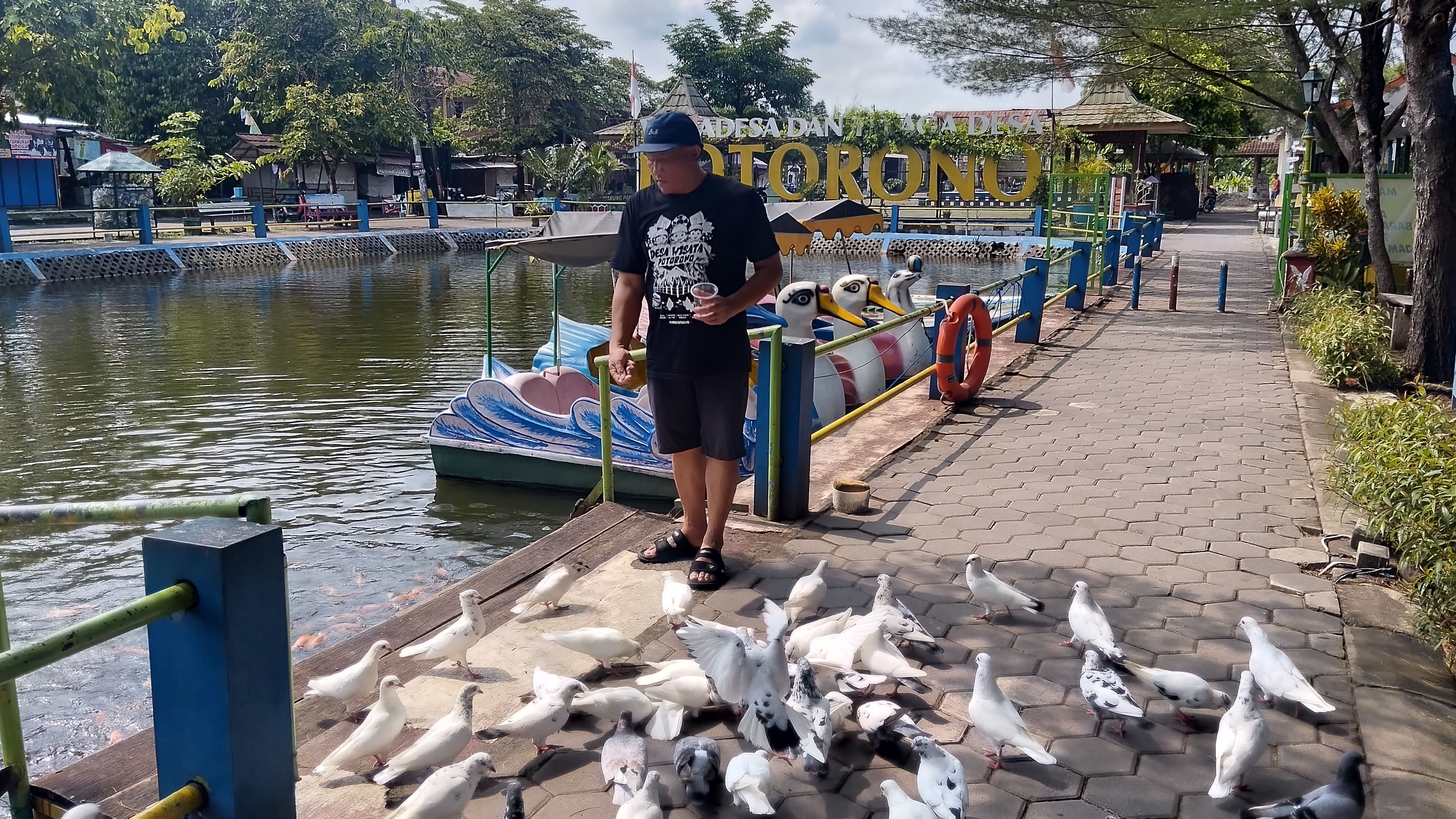 Wisatawan sedang memberikan umpan makanan kepada ikan yang berada di Talaga Potorono Selasa (21/10)