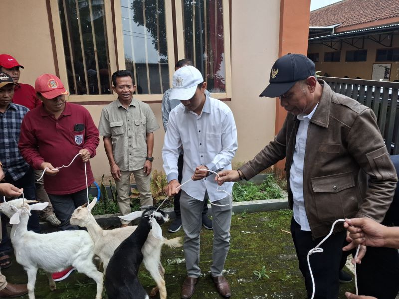 SIMBOLIS: Wamensos menyerahkan puluhan ekor kambing kepada warga Desa Kajoran sebagai bagian dari program Kampung Berdaya Peternakan Minggu (26/10).