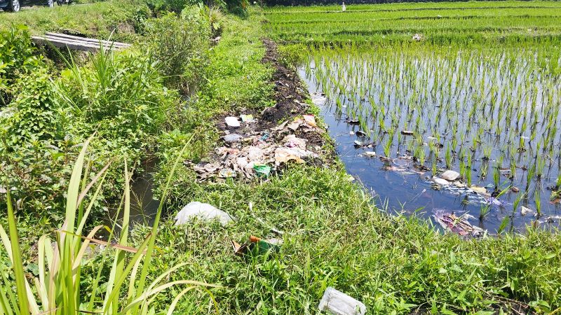 TERSUMBAT: Petani padi Mursiman asal Padukuhan Jogonalan, Tirtonirmolo, Kasihan sedang membersihkan saluran irigasi yang terdapat sampah.