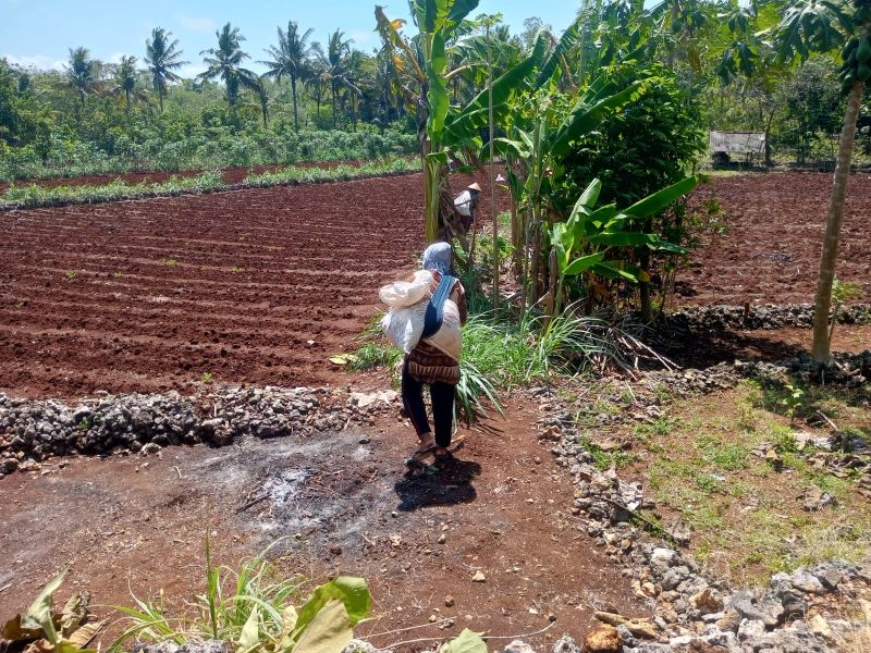 Pemkab Gunungkidul diwajibkan menyesuaikan lahan pertanian LBS dan LP2B di rencana RTRW terbaru.&nbsp;