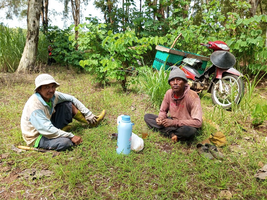 HARAPAN DATANG: Sugeng dan Wignyo sedang istirahat di lahan sawahnya Rabu (29/10/2025) pagi. Musim hujan menjadi penanda aktivitas bertani dimulai. &nbsp;
