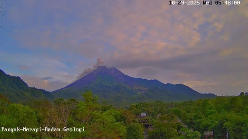 Merapi erupsi dengan mengeluarkan Awan Panas Guguran (APG) pada Rabu (29/10/2025)