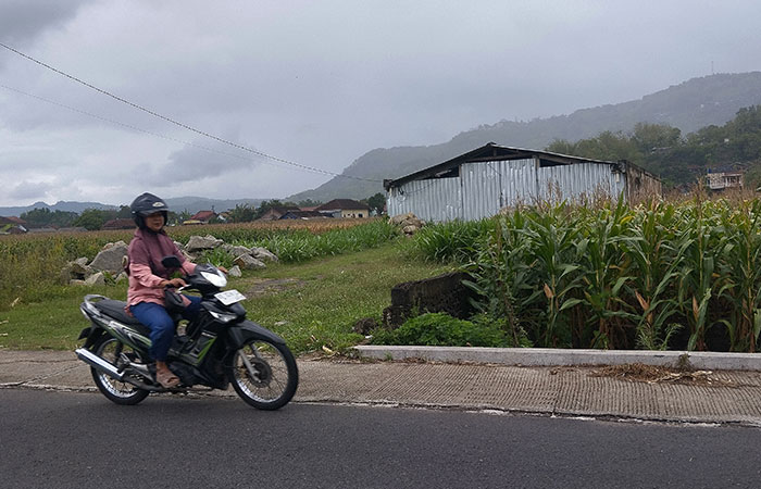 LOKASI: Kandang Sapi yang dijadikan Polsek Winirejo di film Abadi Nan Jaya di Padukuhan Jombor, Srimulyo, Piyungan, Kamis (30/10).
