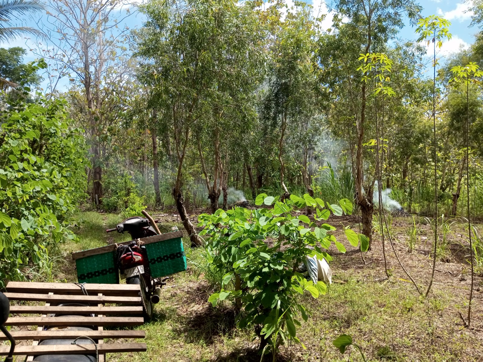 Petani Gunungkidul sedang menyiapkan lahan pertanian.