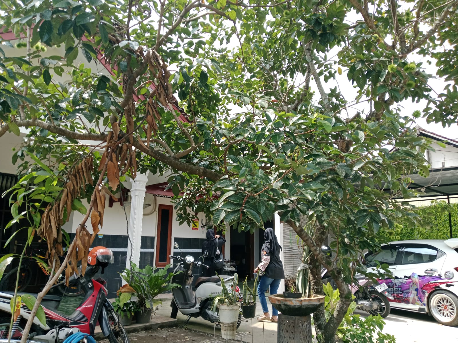 TKP korban inisial RI ditemukan di wilayah Ambarketawang, Gamping, Sleman, Selasa (4/11/2025).
