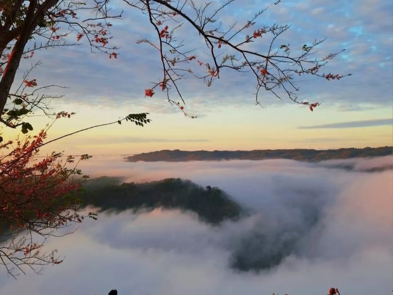 Kebun Buah Mangunan Spot Menikmati Sunrise di Jogja.