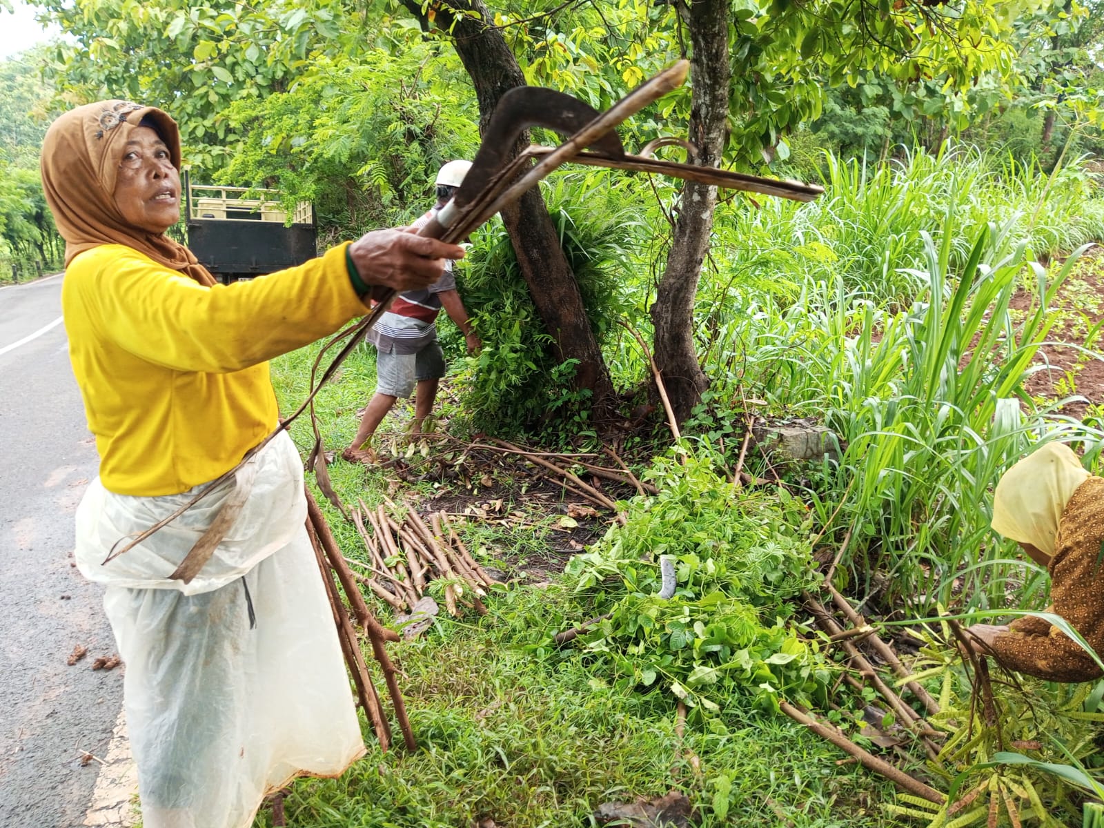 Petani asal Kapanewon Tanjungsari Gunungkidul mengeluhkan serangan monyet ekor panjang yang sudah berlangsung beberapa tahun terakhir.