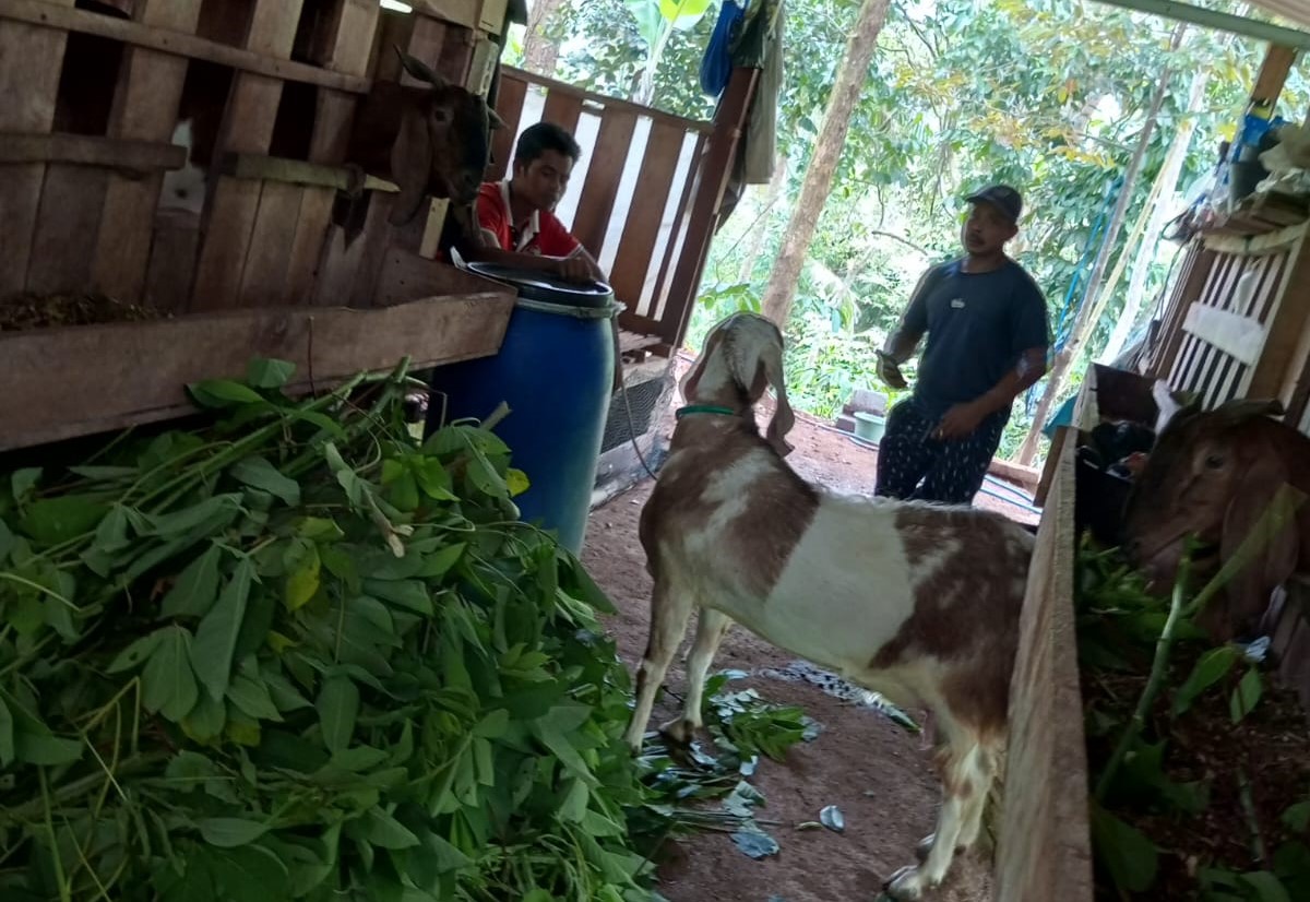 Pemerintah Kabupaten Gunungkidul telah resmi meneken SE pengetatan penjagaan hewan ternak.
