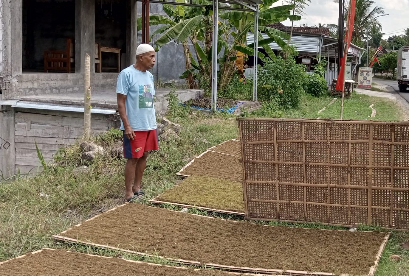 Petani Tembakau asal Purwosari Gunungkidul sedang menjemur tembakau basah.