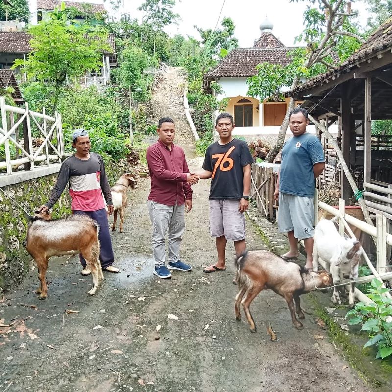 BUMKal Tepus sedang menyerahkan kambing untuk usaha ketehanan pangan sistem gadung kepada warga pada Sabtu (15/11).