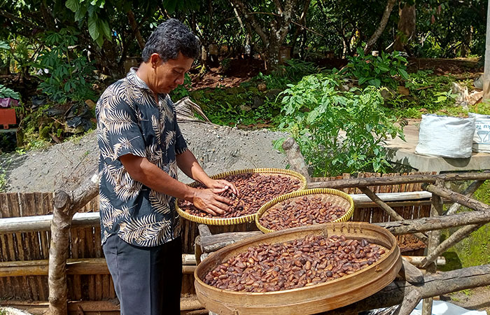 PASAR DOMESTIK DAN EKSPOR: Paryanto tengah menjemur biji kakao di halaman rumah produksi IKM&nbsp; Sari Mulyo di Nglanggeran, Patuk, Gunungkidul. Sari Mulyo juga punya merek Dharko Gun-Kid.