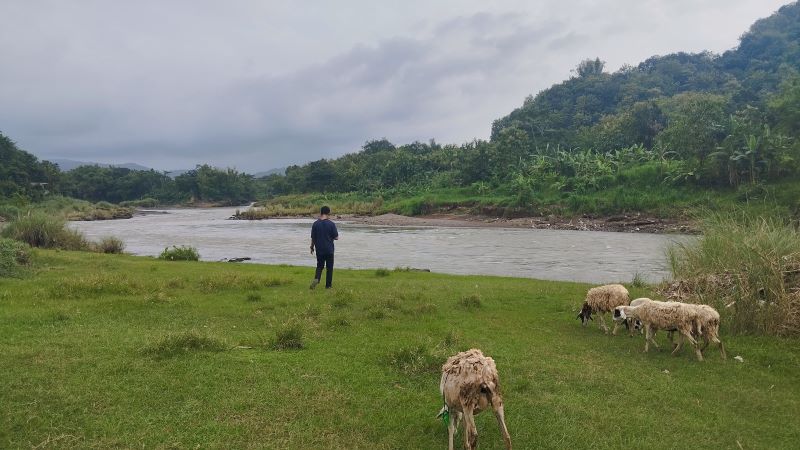 Wisatawan sedang menikmati keindahan di Potrobayan River Camp Senin (26/5)