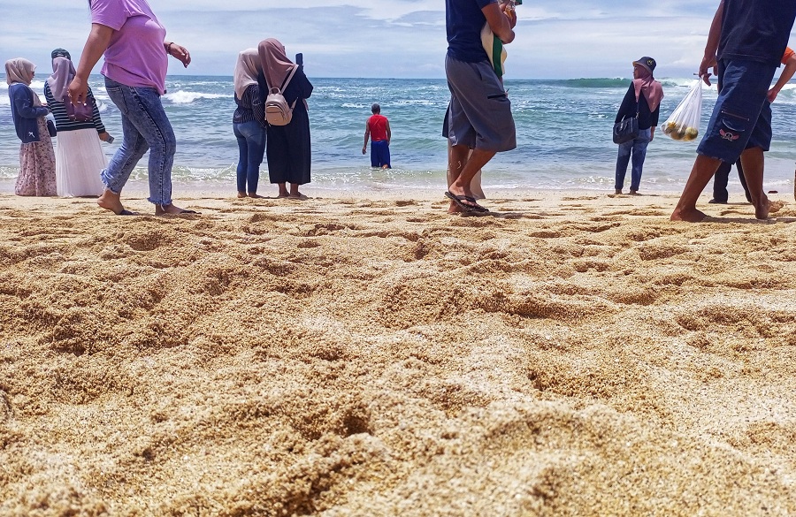 Wisatawan menikmati suasana Pantai Drini, Gunung Kidul, DIJ, Kamis (16/11/2025).