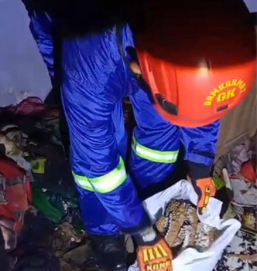Regu 1 Damkarmart Gunungkidul sedang mengevakuasi sarang tawon vespa.
