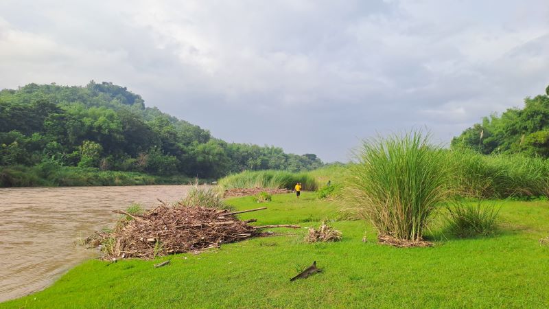 DAMPAK HUJAN: Sampah di Potrobayan River Camp menumpuk dari hulu akibat curah hujan tinggi Jumat (21/11).