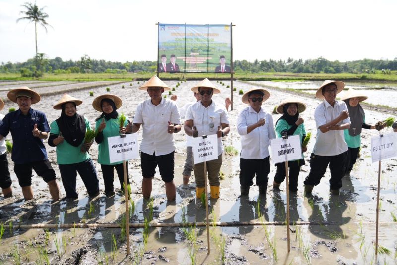 Peluncuran Kampung Peramalan Organisme Pengganggu Tumbuhan di Moyudan Minggu (23/11).