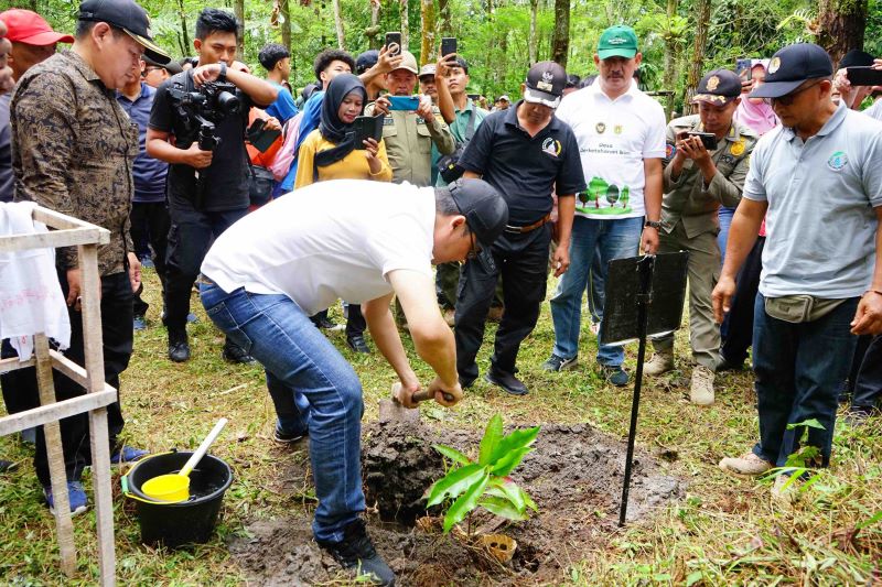 SIMBOLIS: Bupati Magelang Grengseng Pamudji saat melakukan penanaman pohon dan relokasi anggrek endemik di Camp Delik Sabtu (22/11).