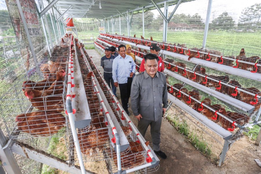 Wakil Ketua Komisi C DPRD Kabupaten Sleman Shodiqul Qiyar SIP segera menuju kandang ternak KWT Sekar Dadi pekan lalu