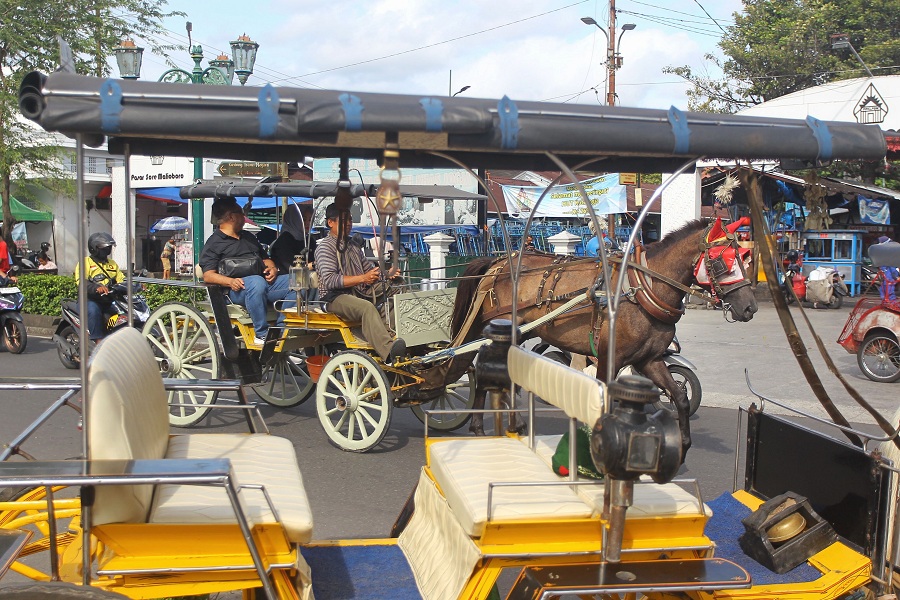 Kusir andong wisata mengantar wisatawan berkeliling di kawasan Malioboro, Kota Jogja, Jumat (28/11/2025).