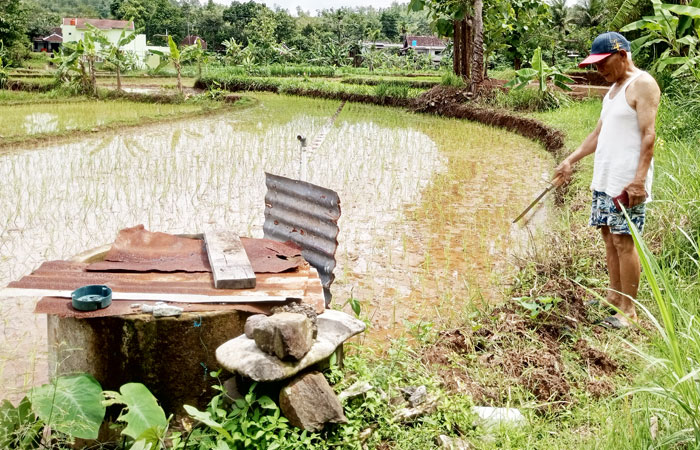 BERBAGI: Mbah Parno menunjukkan sumber mata air yang berada di lahannya, Padukuhan Ngrandu, Katongan, Nglipar, Gunungkidul.
