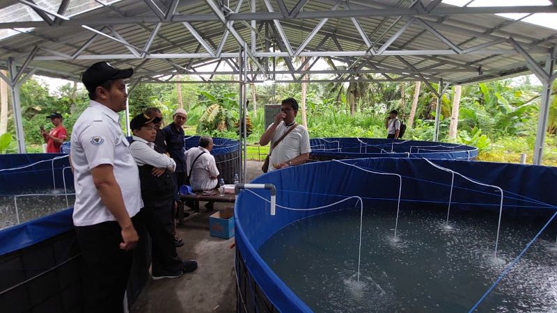 UJI COBA: Anggota Kelompok Mina Lestari melakukan tebar benih pertama di kolam bantuan.&nbsp;