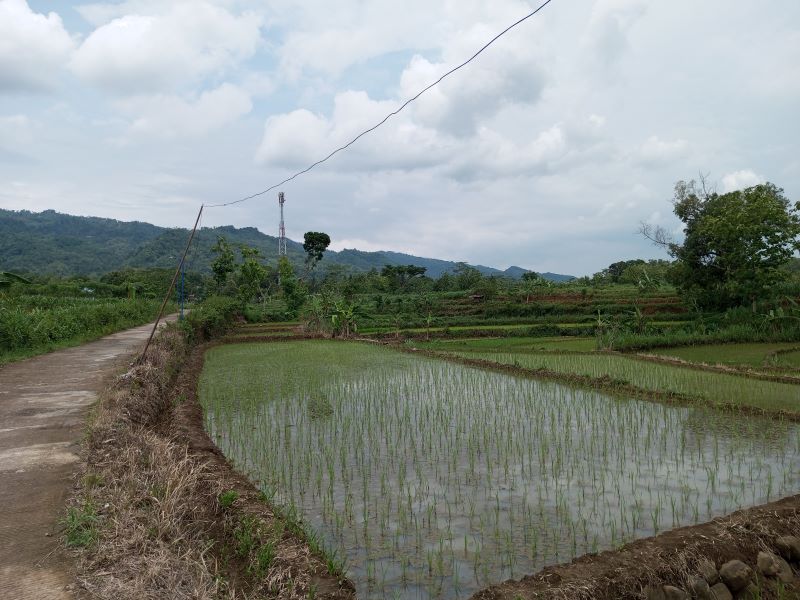 PRODUKTIF: Lahan pertanian di Kapanewon Nglipar yang masih aktif.