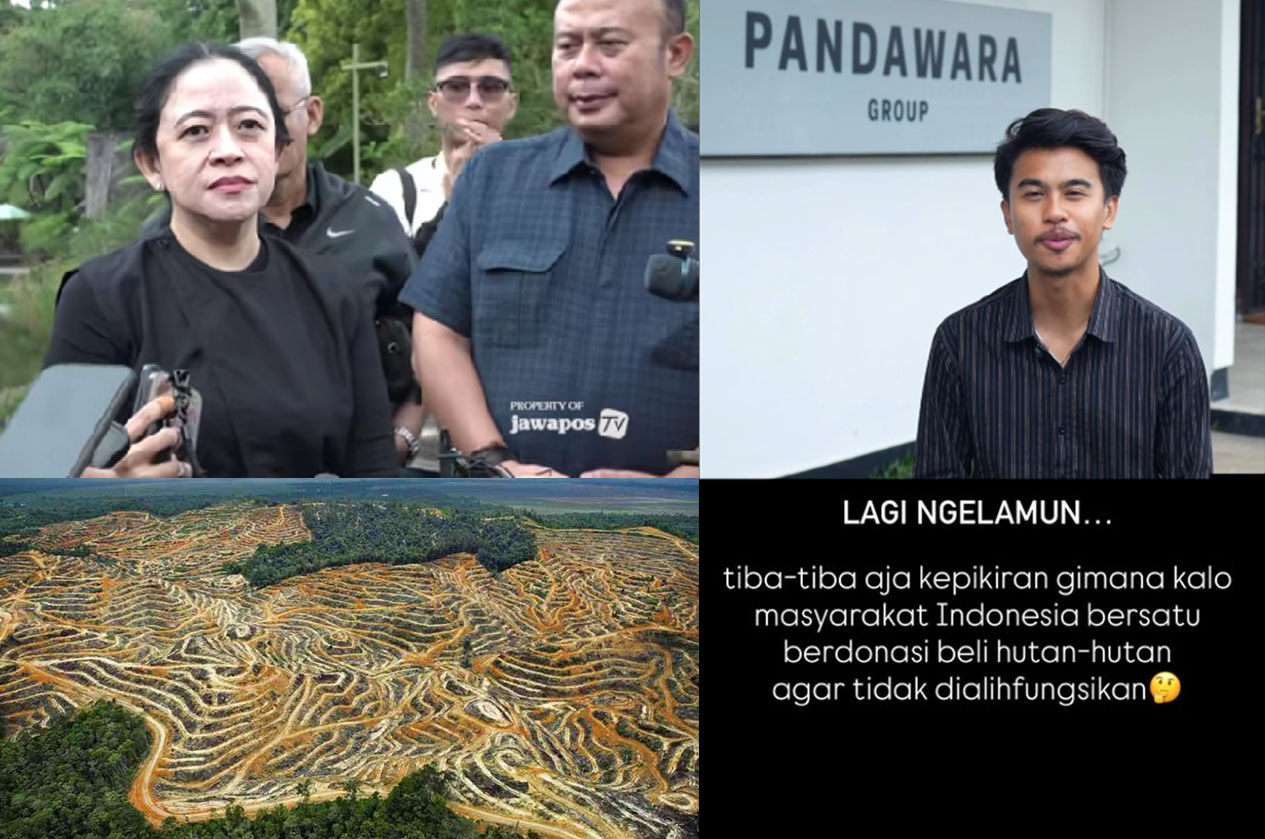 Ketua DPR RI Puan Maharani saat dimintai tanggapan ajakan Pandawa Grup patungan beli hutan.