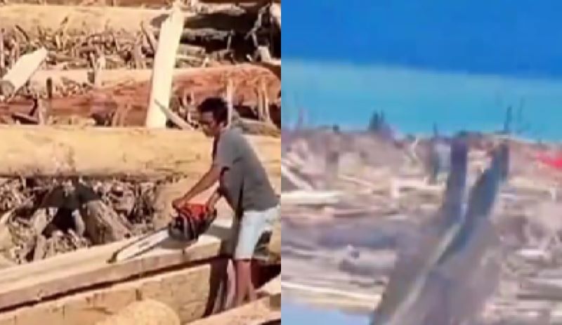 Warga manfaatkan kayu glondongan banjir Sumut untuk membangun rumah.