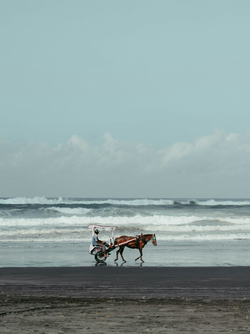 Kereta Kuda di Pantai Parangtritis.