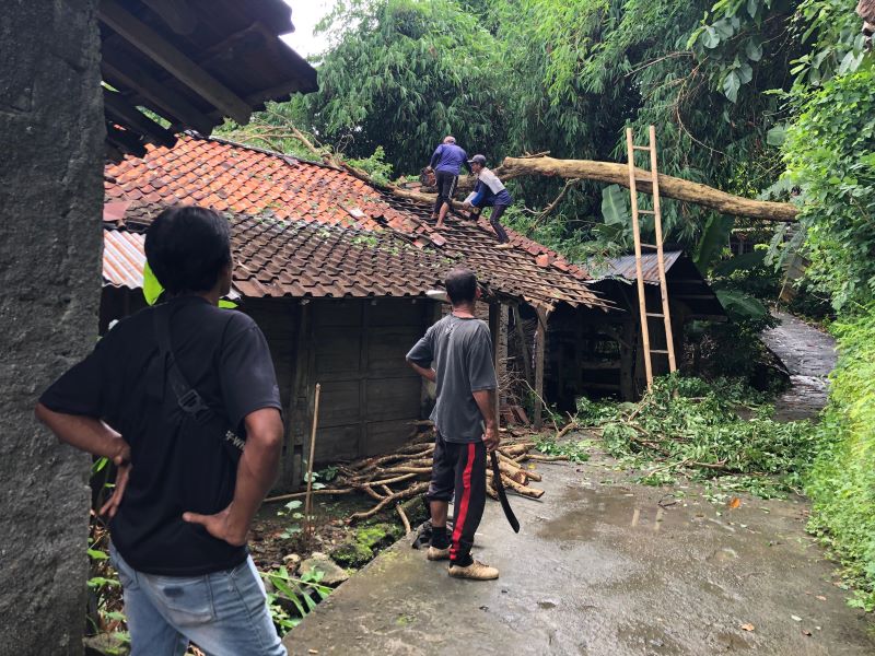 TERDAMPAK: Pohon tumbang di Padukuhan Umbulsari, Srimartani, Piyungan menimpa sebuah rumah Jumat (26/12).
