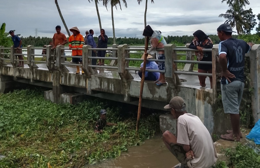 GOTONG ROYONG: Warga empat padukuhan mengangkat eceng gondok.