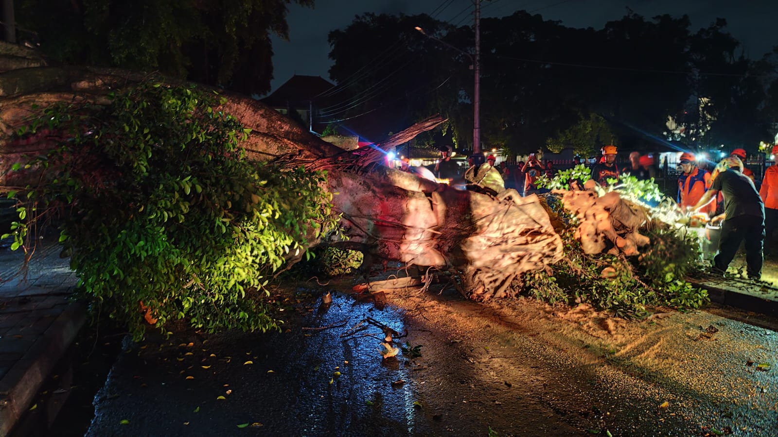 EVAKUASI: Petugas gabungan saat melakukan evakuasi pohon beringin di kawasan Alun-alun Utara yang tumbang pada Selasa (30/12/2025) malam.