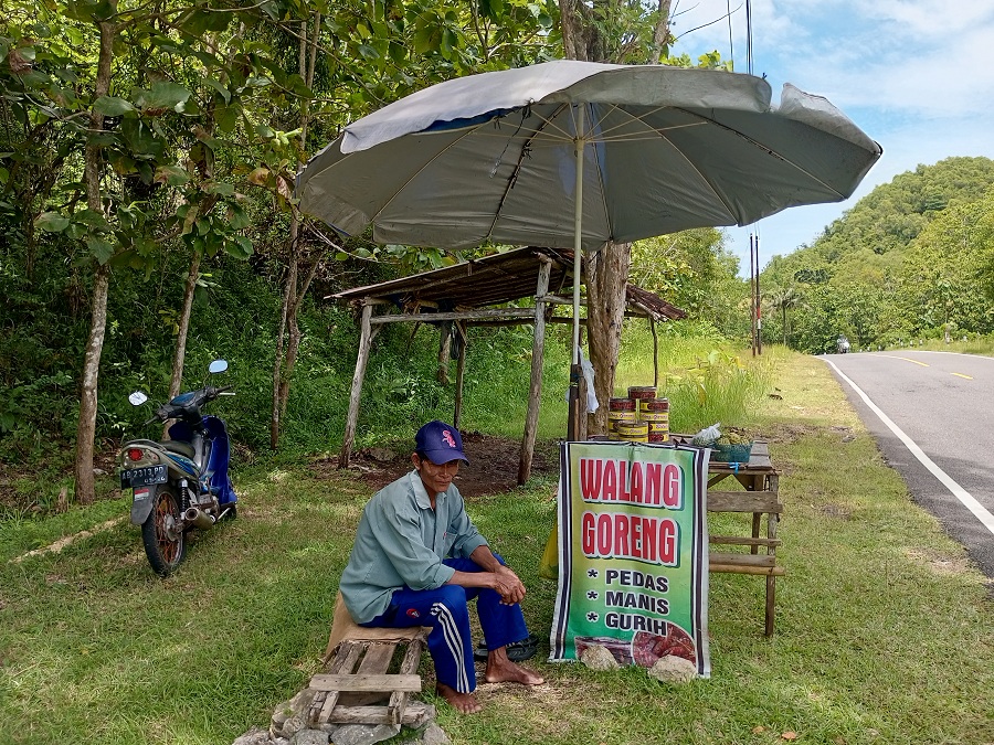 Salah satu pedagang walang goreng yang mangkal di pinggir JJLS Baron Noto Wardi sedang menunggu pembelinya datang.
