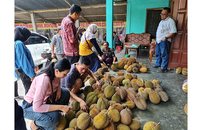 RAMAI: Pembeli dari berbagai daerah sengaja mampir untuk menjajal buah durian di Candimulyo, Kabupaten Magelang.