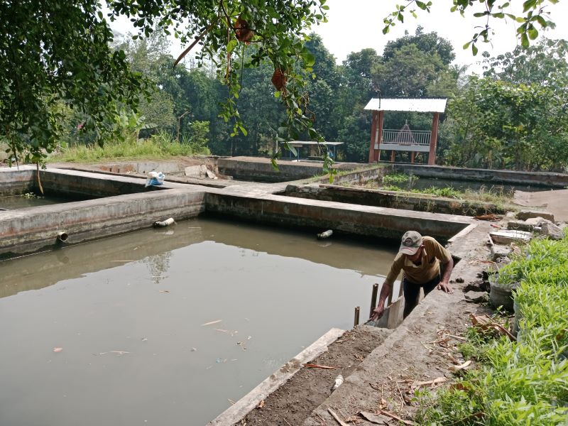 POTENSIAL: Kolam untuk usaha perikanan di Kabupaten Sleman. Saat ini, nilai produkse sudah tembus Rp 1,49 triliun.