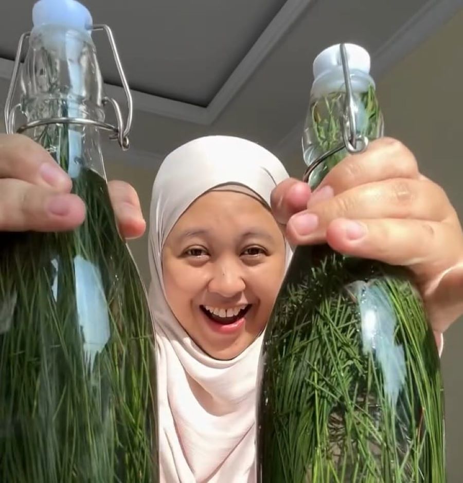 Linggah Fachrie memegang dua botol soda daun pinus buatannya (Instagram/@linggah_fachrie)