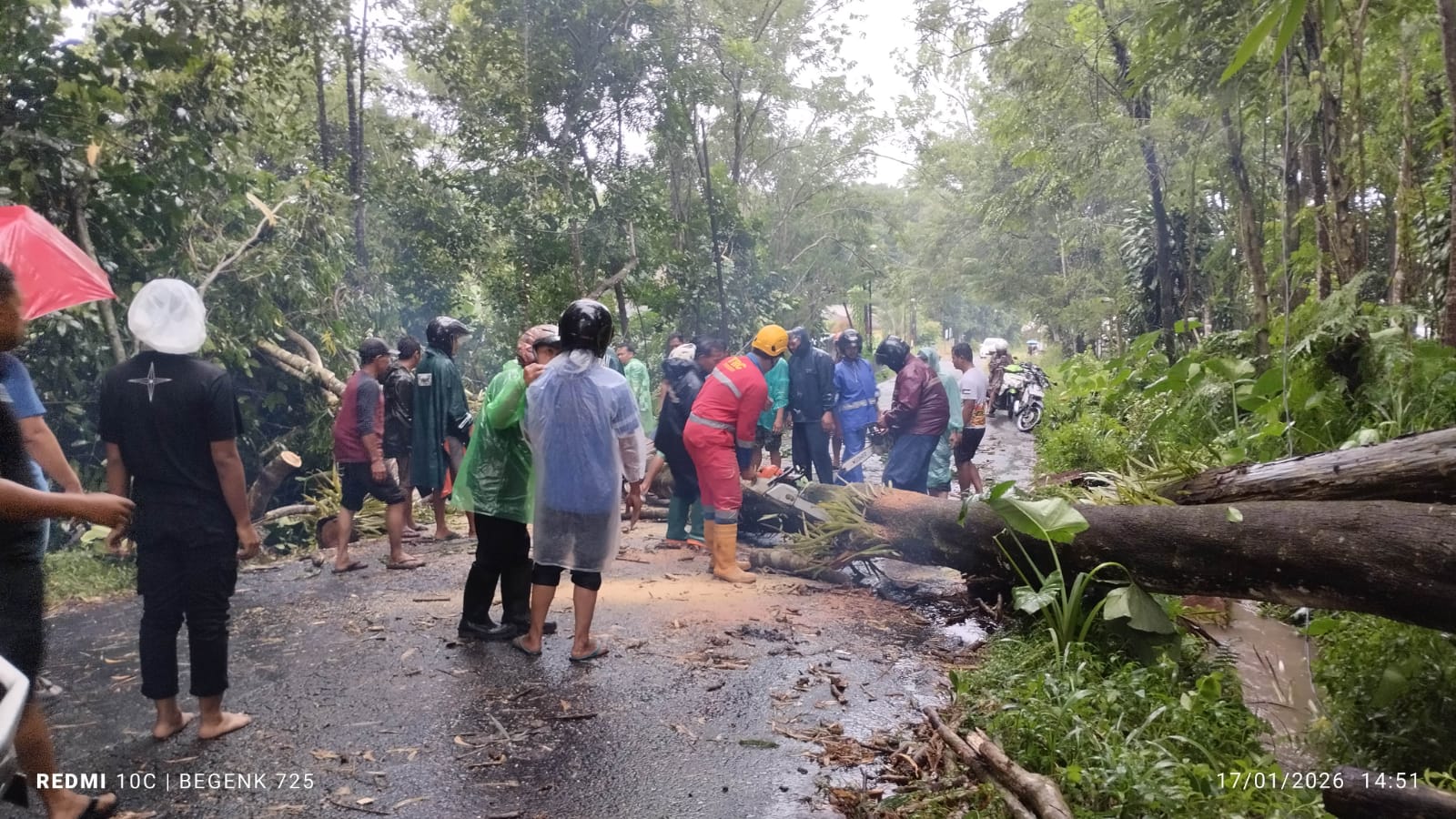 Dokumentasi BPBD Sleman Dampak hujan dan angin kencang