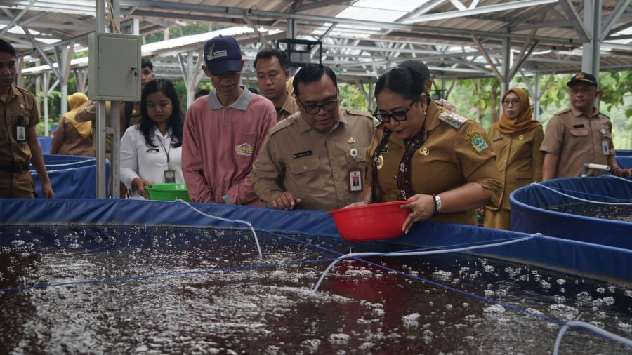 Bupati Gunungkidul Endah Subekti Kuntariningsih sedang melakukan penebaran benih ikan lele di Karangrejek yang dikelola oleh Koperasi Desa Merah Putih (KDMP).