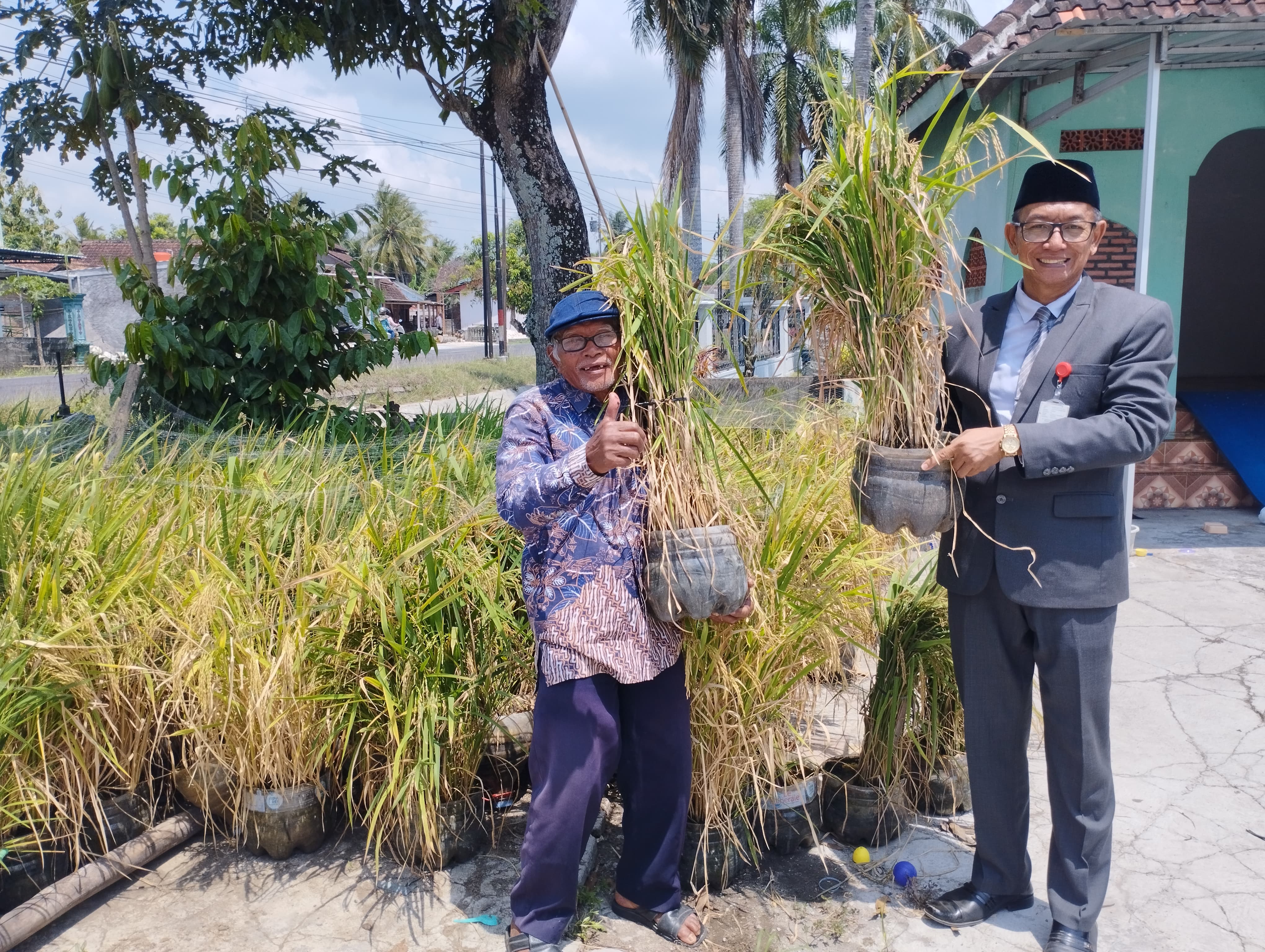 Rismiyadi saat berkunjung ke Kalurahan Genjahan Kapanewon Ponjong untuk menuju pertanian padi menggunakan galon bekas pada Oktober 2025.