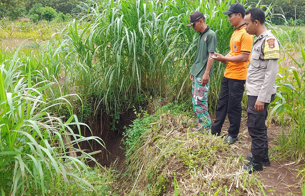 AMBLES MENGANGA: Fenomena sinkhole di area pertanian warga di Kalurahan Kemadang, Kapanewon Tanjungsari, Gunungsari.&nbsp;