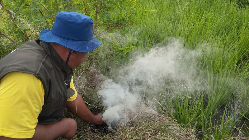 Petani di Bantul sedang menggunakan emposan untuk membasmi hama tikus Jumat (23/1)