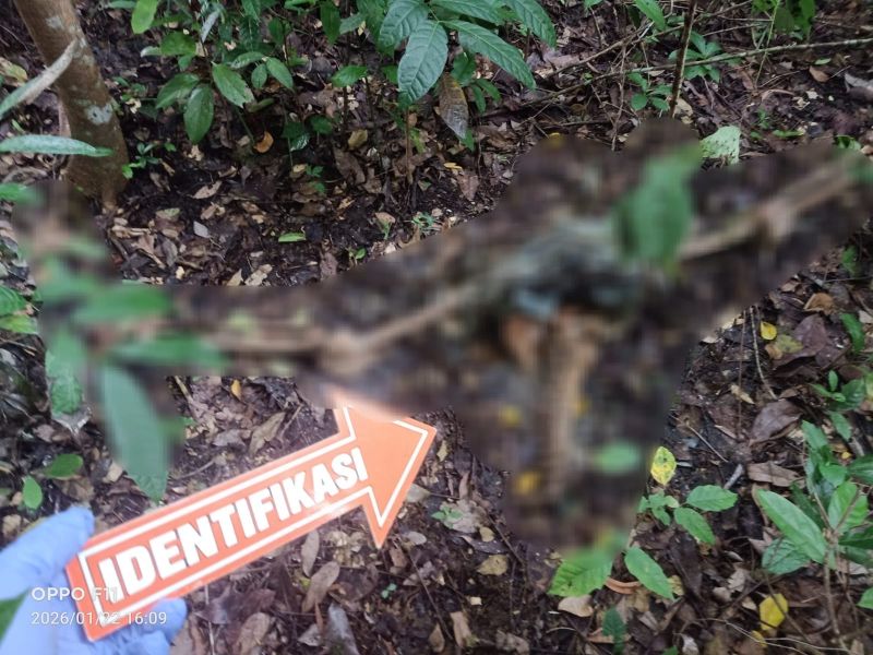 IDENTIFIKASI: Personel Inafis Polres Kulon Progo mengambil gambar kerangka manusia di Gunung Tugel.&nbsp;