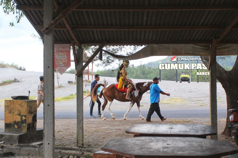 DITATA: Penataan pansela Bantul termasuk restorasi kawasan Gumuk Pasir kembali dilanjutkan. Dimulai dengan melanjutkan penebangan pohon yang sebelumnya sudah dilakukan tahun lalu.