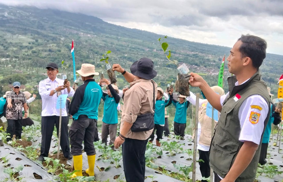 MULAI TANAM: Petani di Dusun Windusabrang, Wonolelo, Sawangan mulai menanam kopi di lereng Gunung Merbabu.