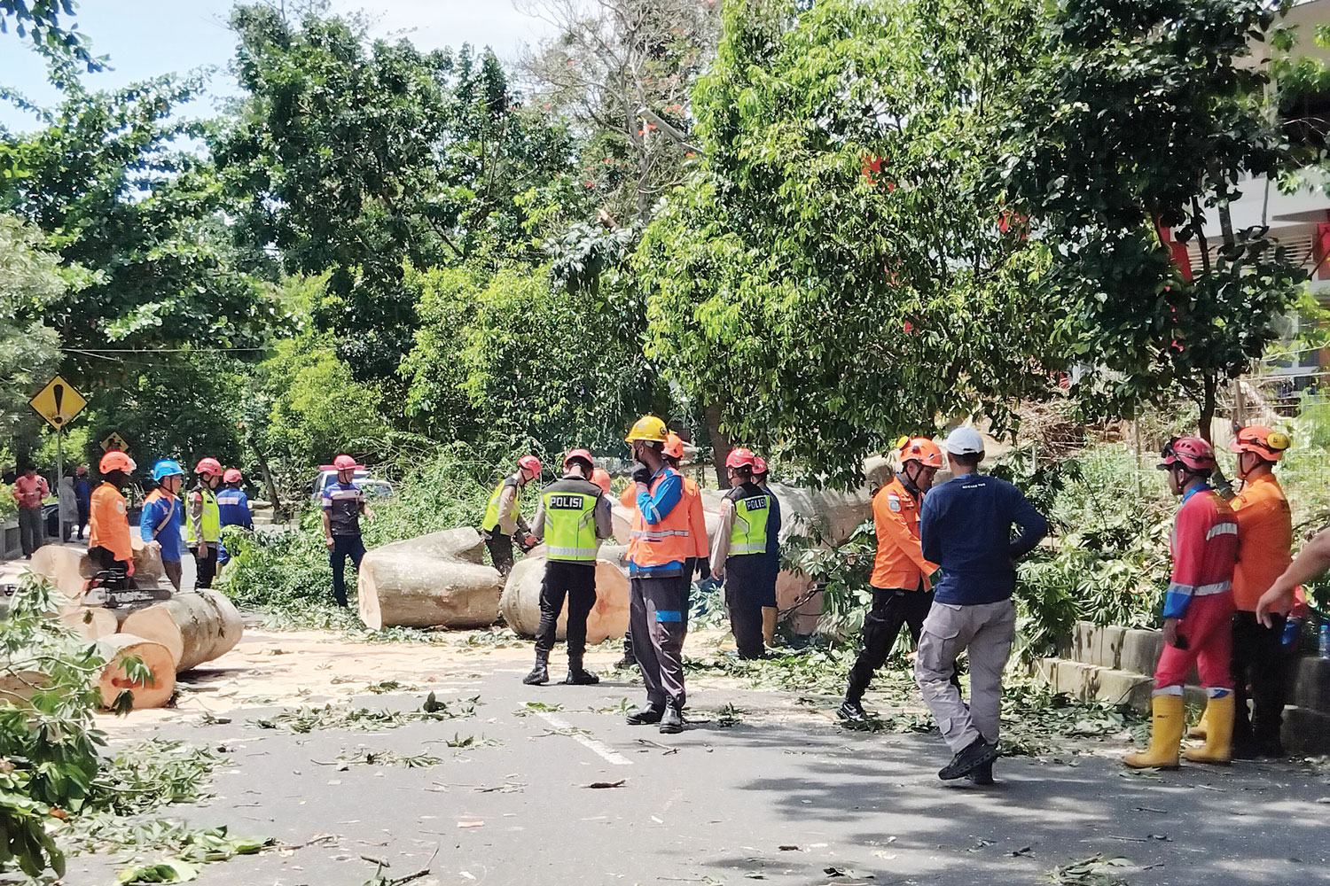 BAWA KORBAN: Petugas kepolisian, BPBD dan relawan saat mengevakuasi pohon randu besar di Jalan Lembah UGM yang tumbang dan menewaskan dua pemotor.