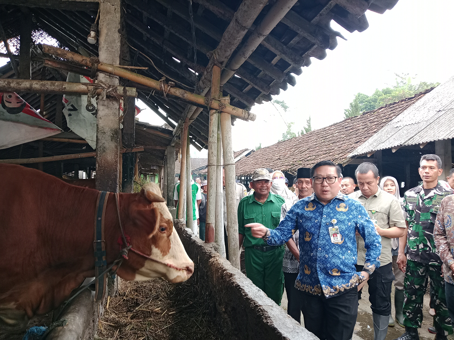 Tinjauan vaksinasi ternak oleh Direktur Jenderal Peternakan dan Kesehatan Hewan Kementerian Pertanian Agung Suganda Kamis (29/1/2026).
