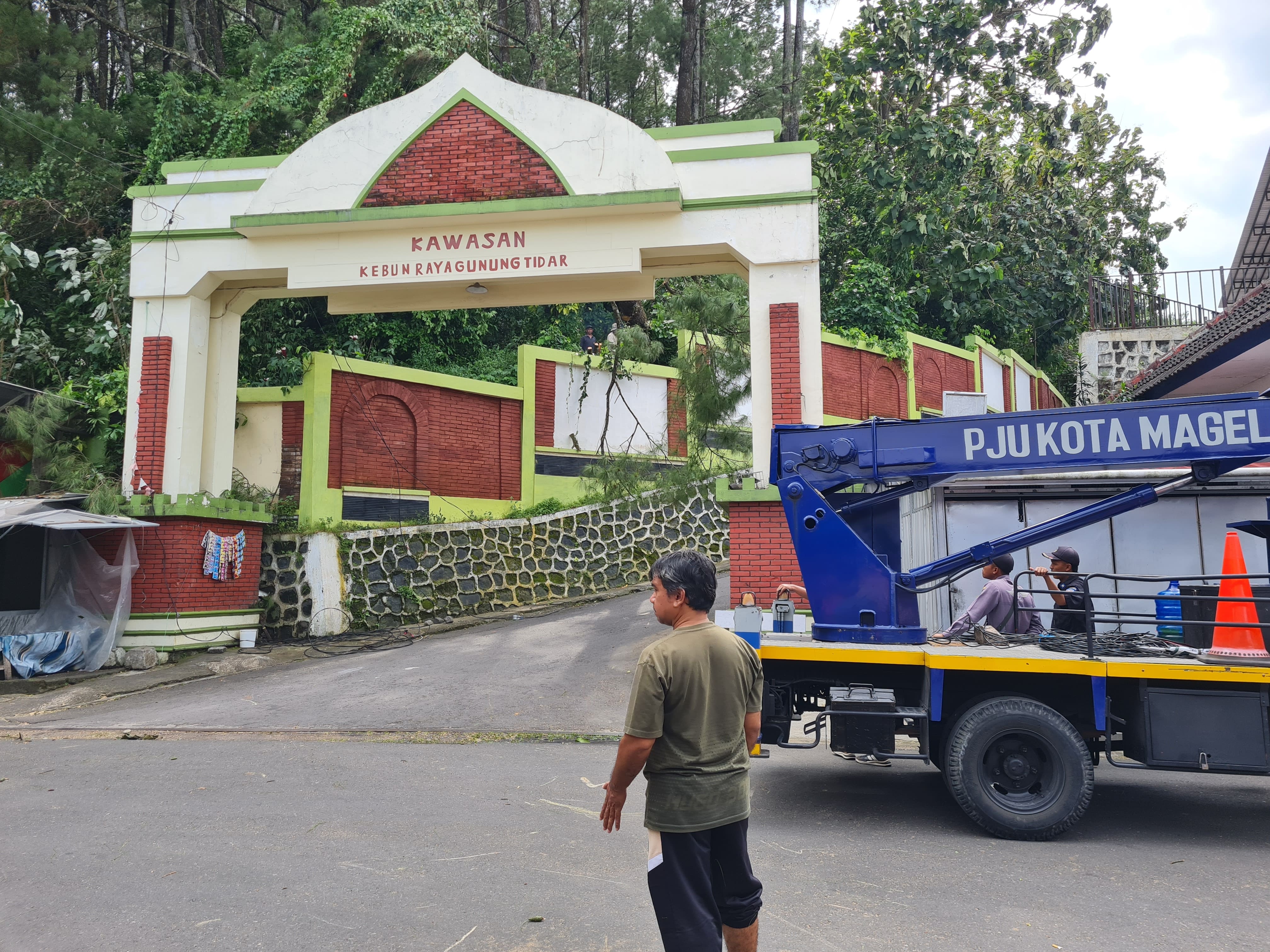 Pemkot segera menebang pohon yang berpotensi tumbang di kawasan Gunung Tidar