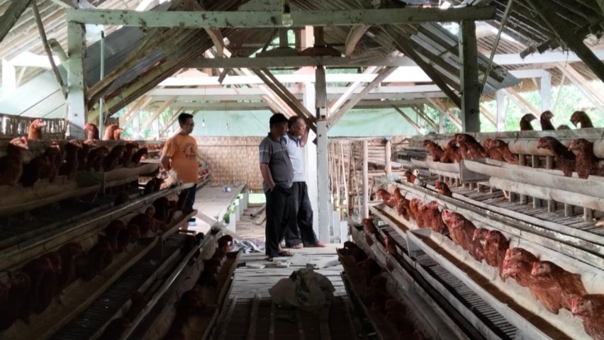 Warga Desa Polengan memanfaatkan potensi yang ada untuk mendukung ketahanan pangan.